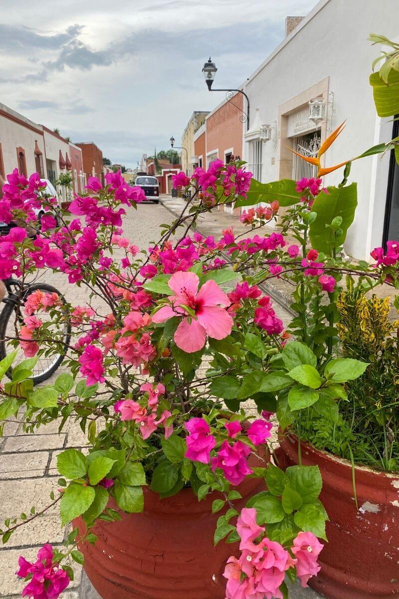 Calzada de los Frailles