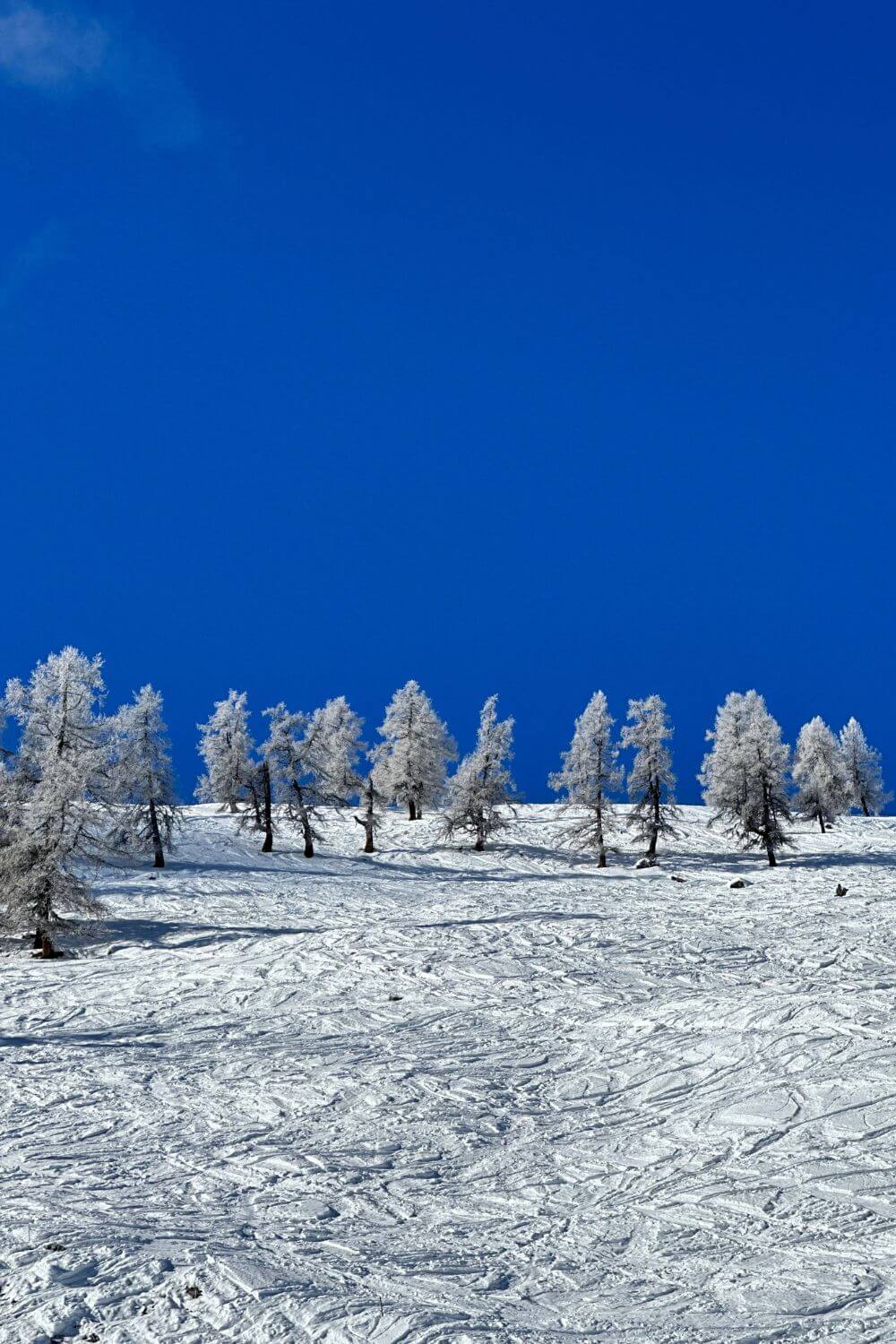 Swiss Alps