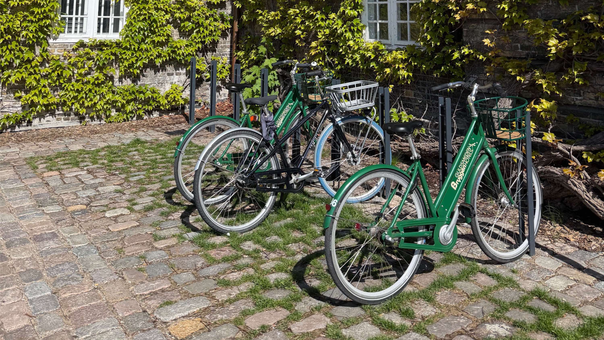 Copenhagen by bike